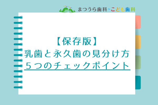 乳歯と永久歯の見分け方【５つのチェックポイント】アイキャッチ画像