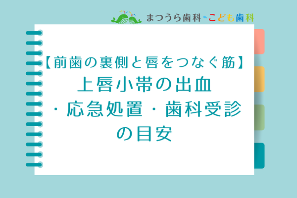 上唇小帯の出血・応急処置・歯科受診の目安アイキャッチ画像